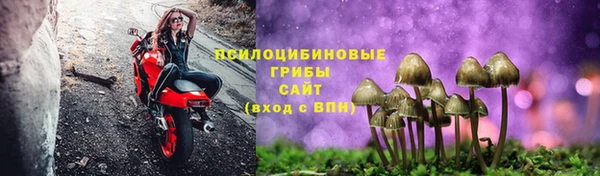 COCAINE Дмитриев